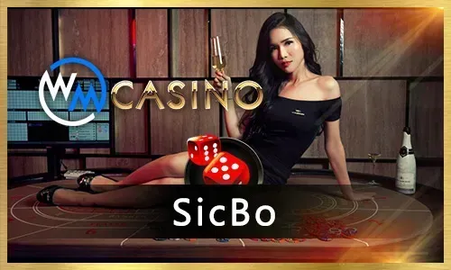 Sports Betting with 22bet Bonus